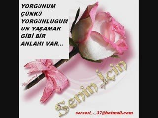 CILGIN SEDAT DELİKANLI GİBİ