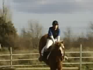 CLIP0009