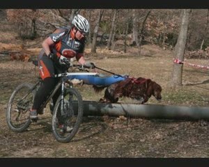 Canivtt tourves 2009_0003