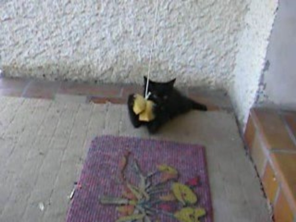 Bijou Bébé