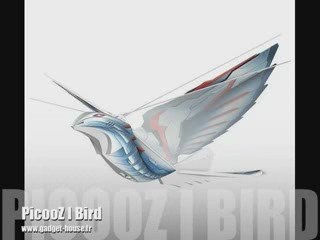 PicooZ I Bird
