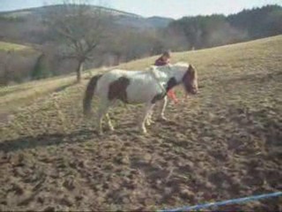 Début Mars 2oo9 Kéops & Moi