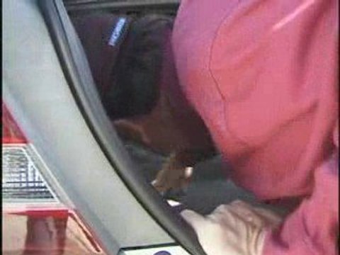 Honda Folsom Citrus Heights: Cool 2003 Civic Walk Around