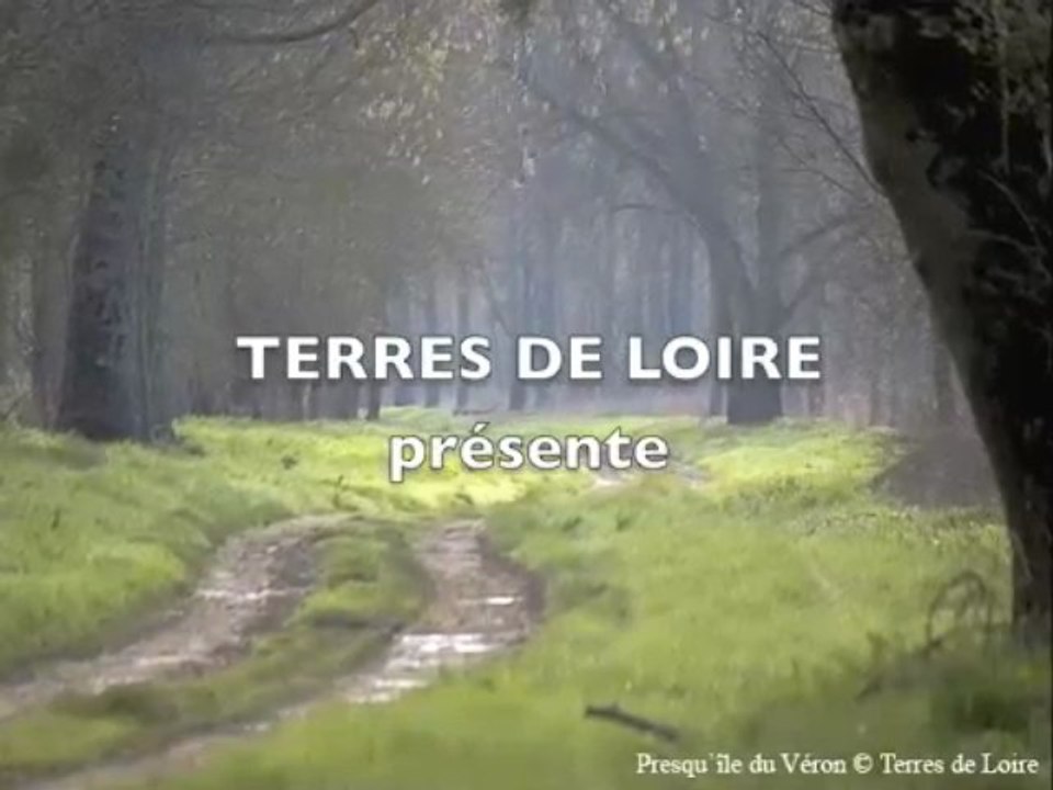 Vues du Véron et de la Rabelaisie en Chinonais