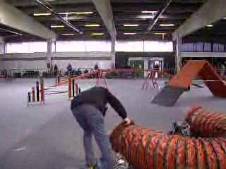 ROXIE des Caprices d'Eole