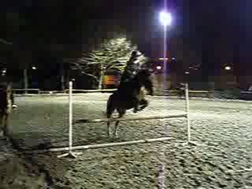 Cours du 09.03.08