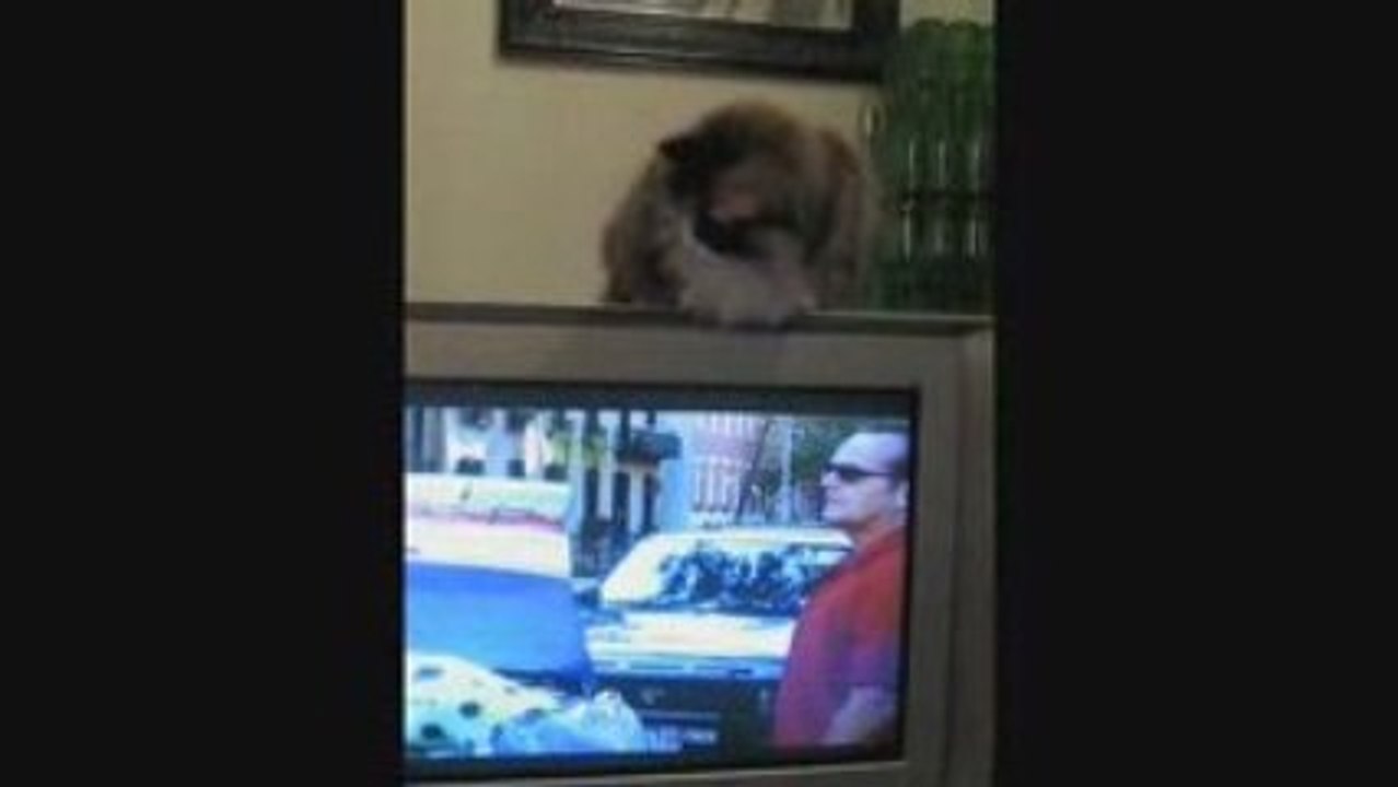 Volga n'aime pas Jack Nicholson