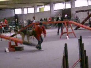 ROXIE des Caprices d'Eole