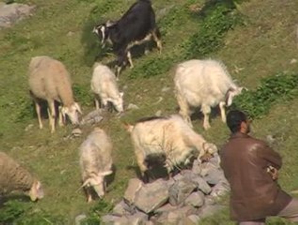 Kabylie: L'Qalaa n Ait Abas - Nature