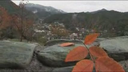 Art Karin van der Molen in Japan