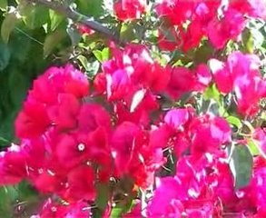 Luxury Family Accommodation on Greek Island