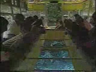 Silver Springs Ocala -- glass bottom boats