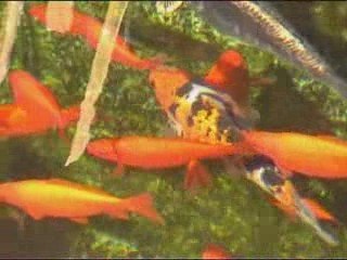 Mon miroir sous le soleil de février