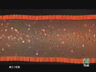 Disruptores endocrinos: Peligros ocultos