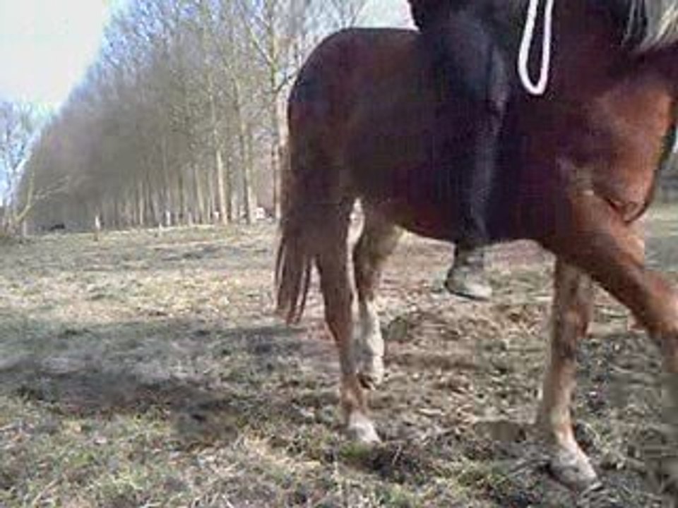 Deuxième partie 11.03