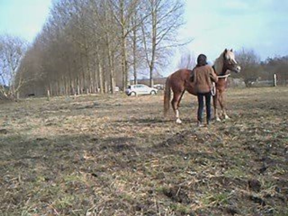 Troisième partie 11.03