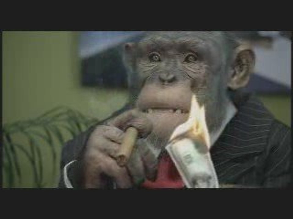 Neulich in der vorstandssitzung