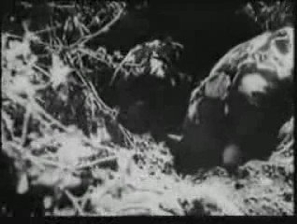 Kursk_tank_battle_part_1_of_2