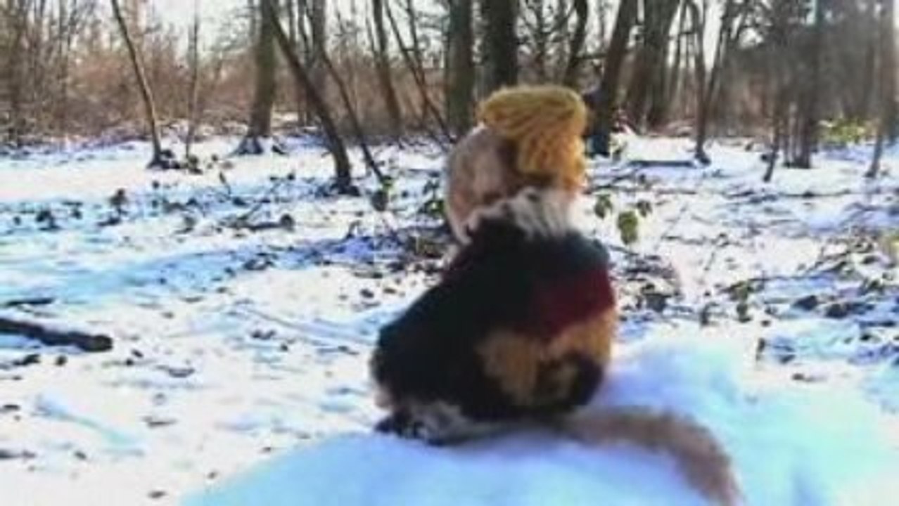 Les aventures de Minus.episode 4.2