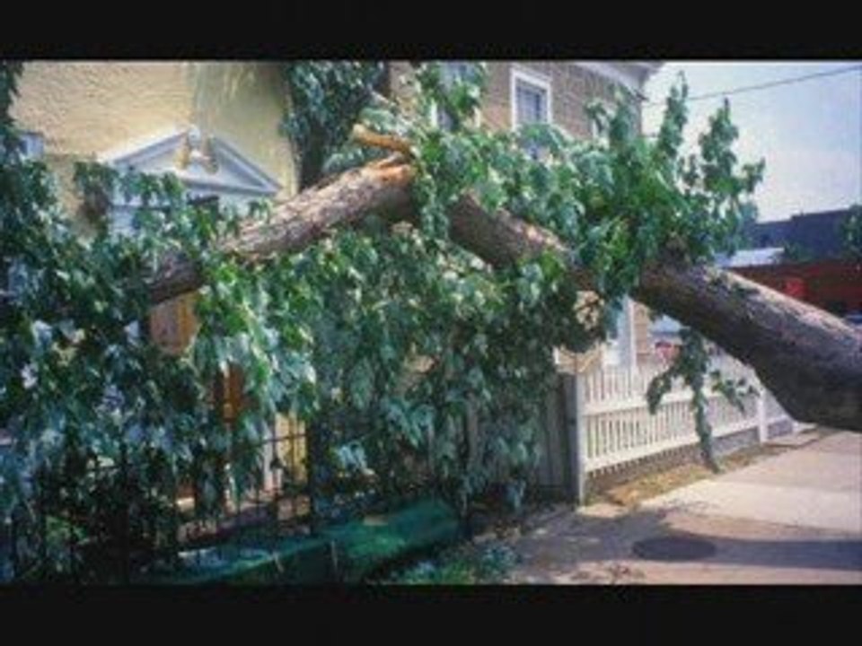 Landlord Insurance