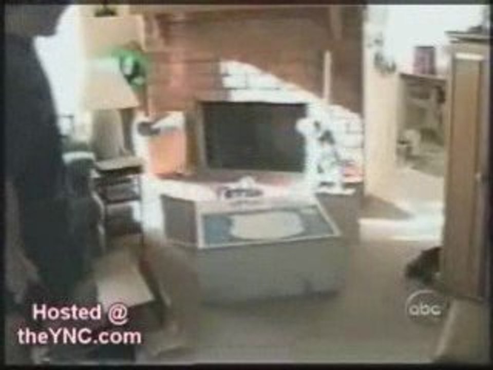 Vidéo drôle avec des chats! - Humour!