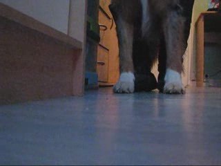 ESSAI MARCHE ENFANTINE