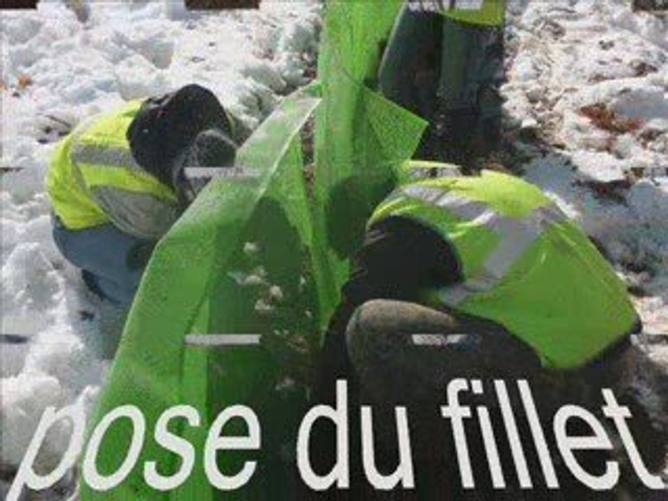 Chantier grenouille