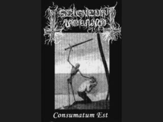 Seigneur Voland - Dance of eternal shadow (Darkthrone cover)