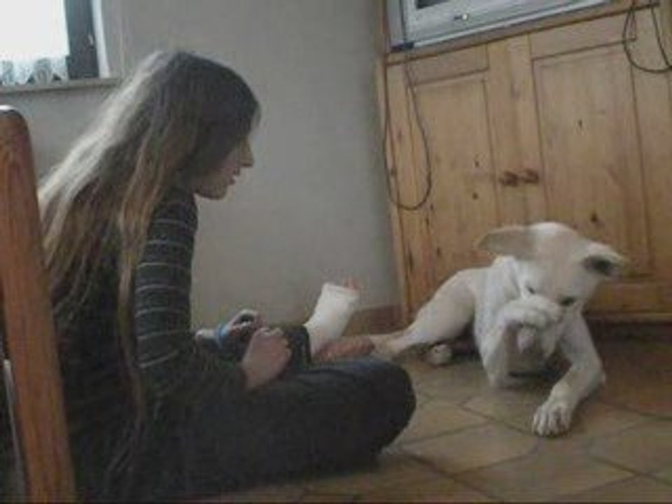 Cache toi, Biscotte et Delilah