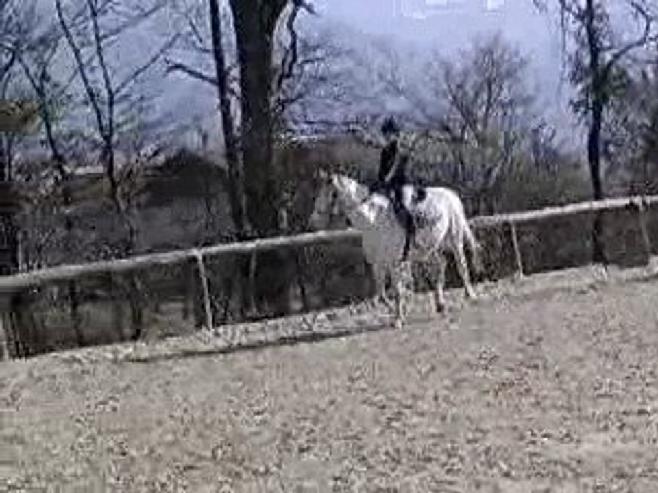 Saphir & moi (Saphir s'emballe un peu) 1 *