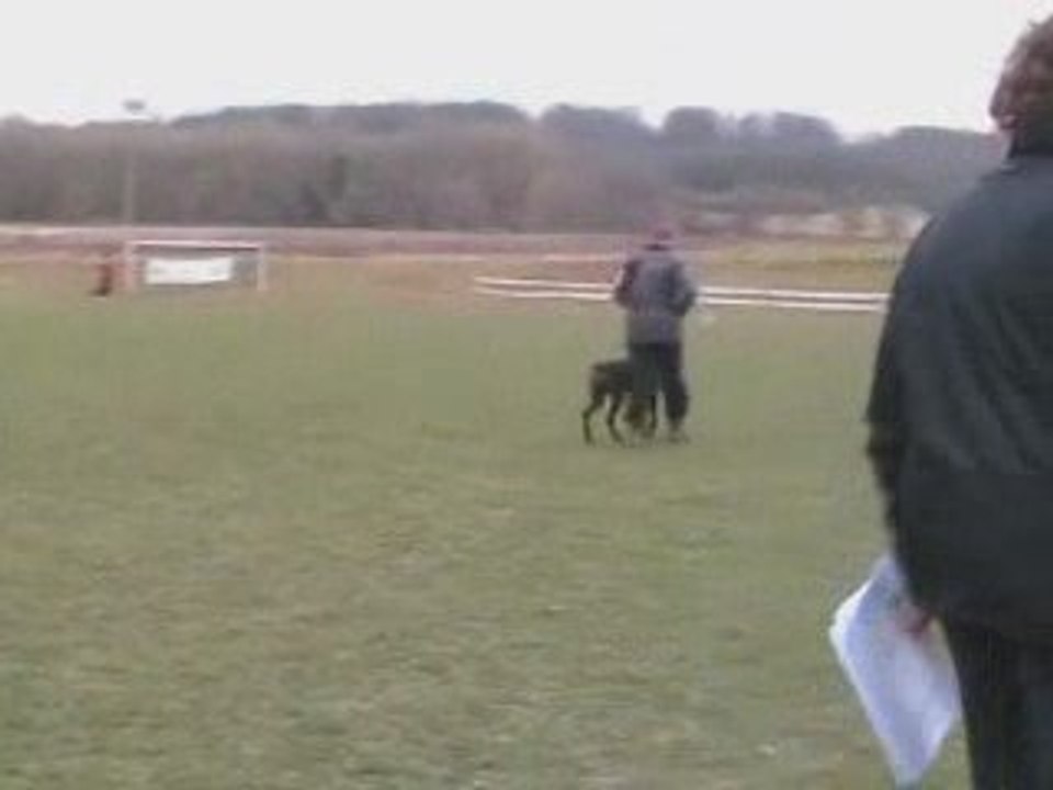 Viva Maria - Concours RCI à Roinville le 07/03/09,  Obéissance (87/100)