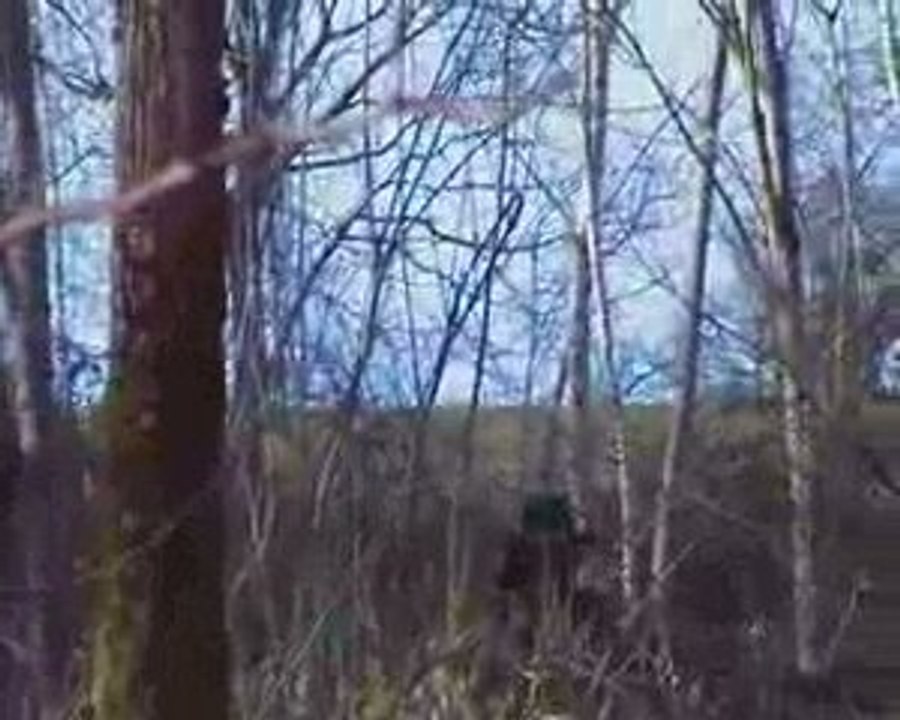 partie d'airsoft avec ATF  2