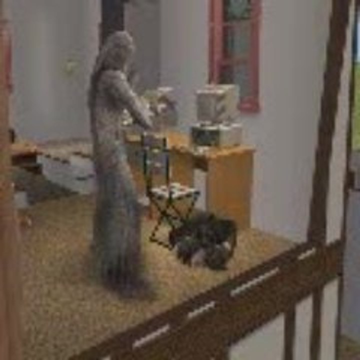 les sims 2 -la mort de joyce  (buffy contre les vampires)