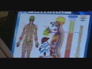 Latanya Hall Interviews Dr. Tocco Part 3/4 - Clawson Mich...