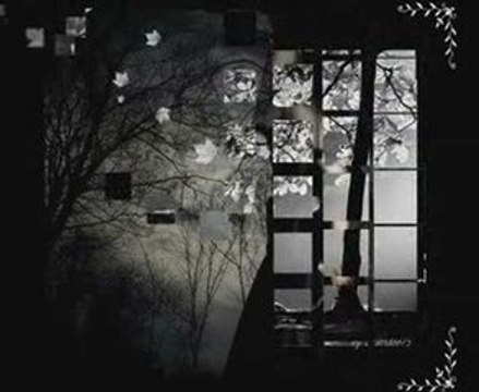 Olmaz Olsun Veysel ULUAGAÇ