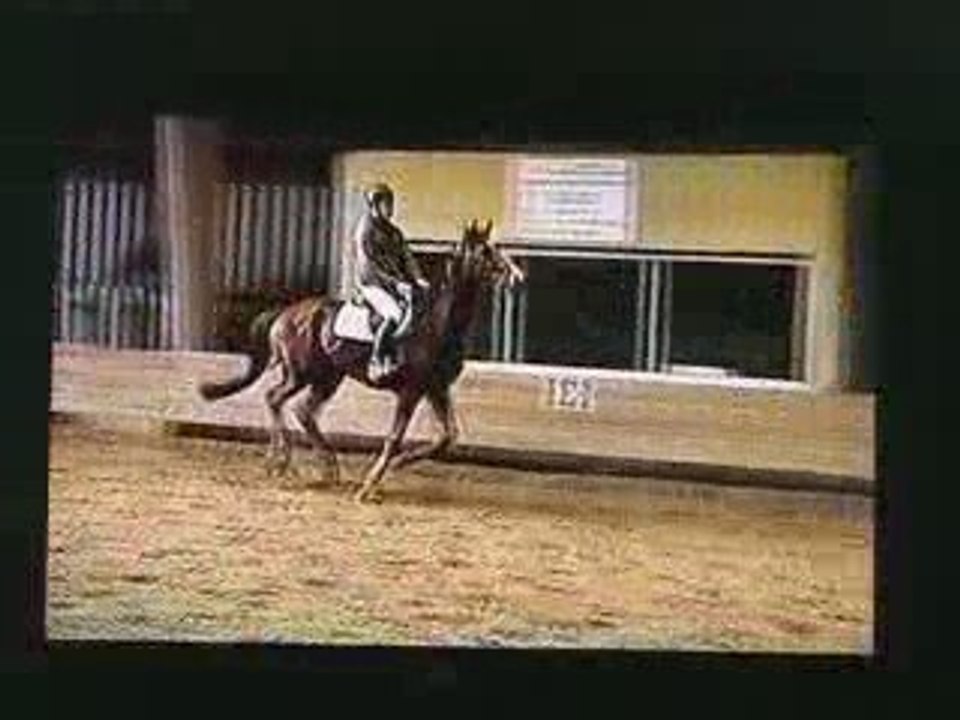 Quamiro de Flabemont