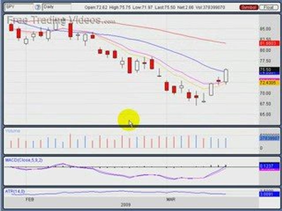 March 12.09 :: Madoff in Jail : Analysis on Stock Market