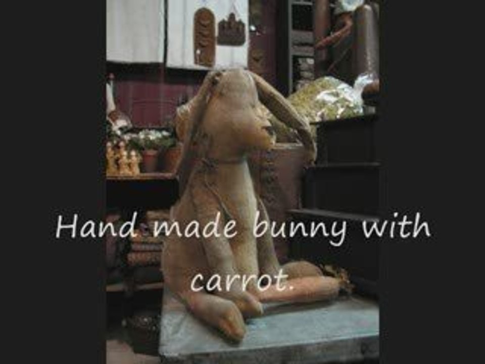 Primitive animals
