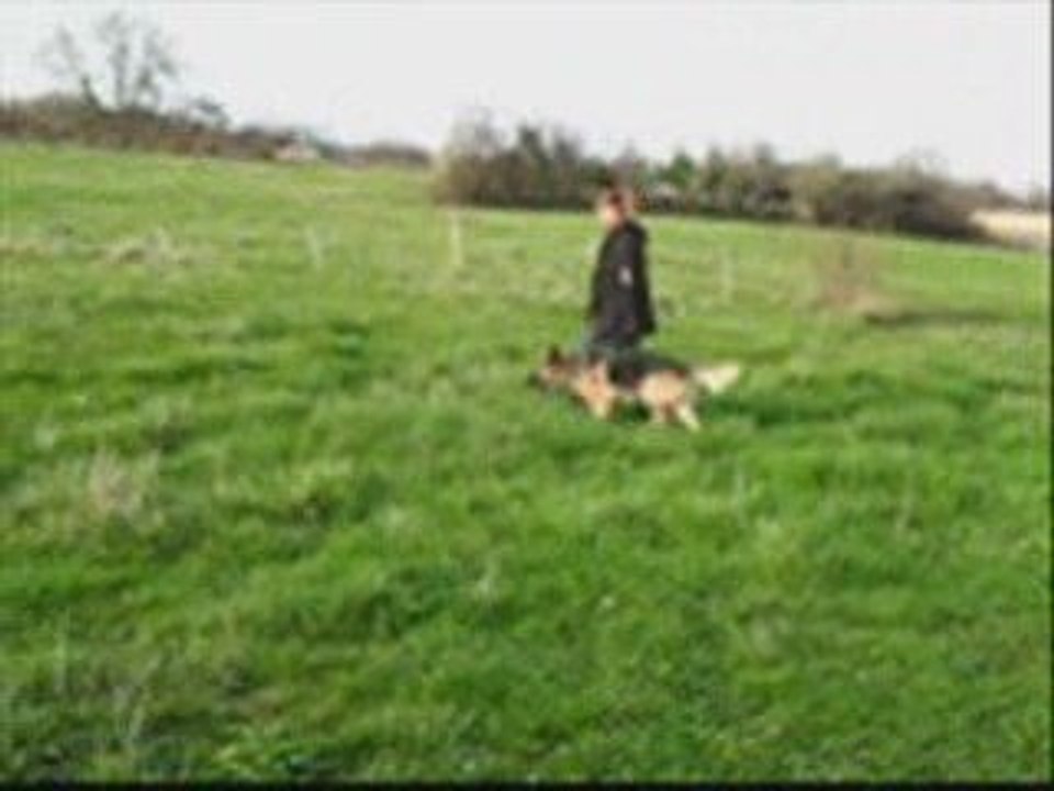 13 03 2009