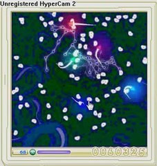 Synapses 77250