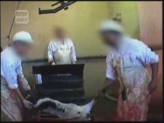 Pour une éthique animale et planétaire