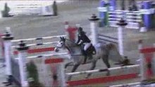 4 Wochen Wr. Neustadt - schön wars !