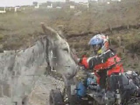 TRAVERSEE DES ALPES en QUADS