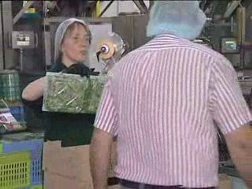 Chef de ligne