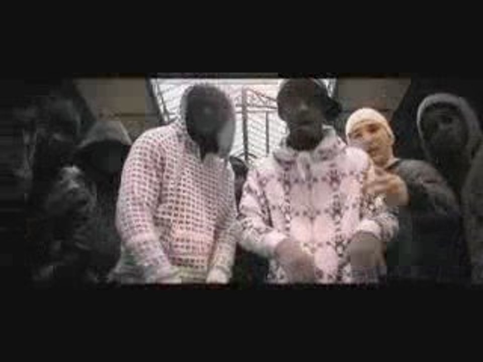 Sexion d'assaut - T'es bete ou quoi (CLIP) www.rapadonf.fr
