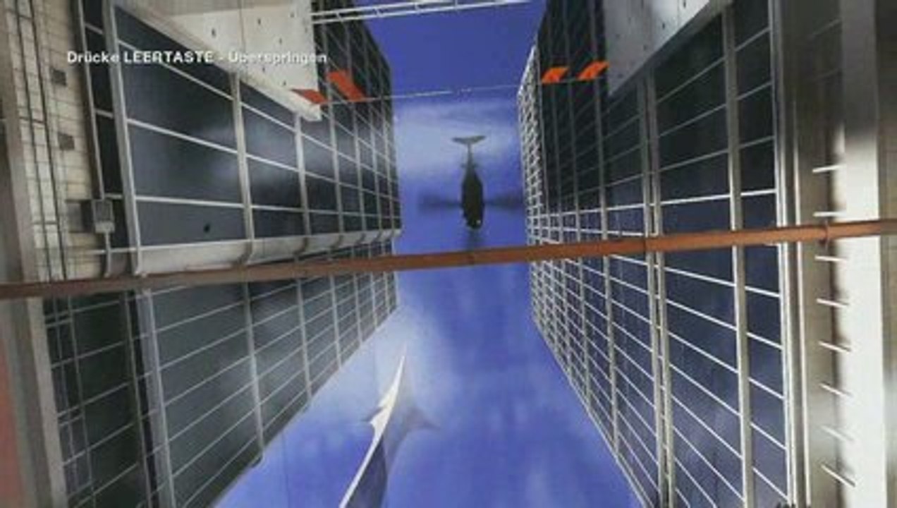 Test: mirror's edge