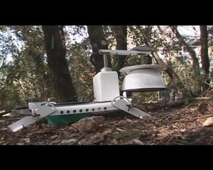 La forêt méditerranéenne sous surveillance