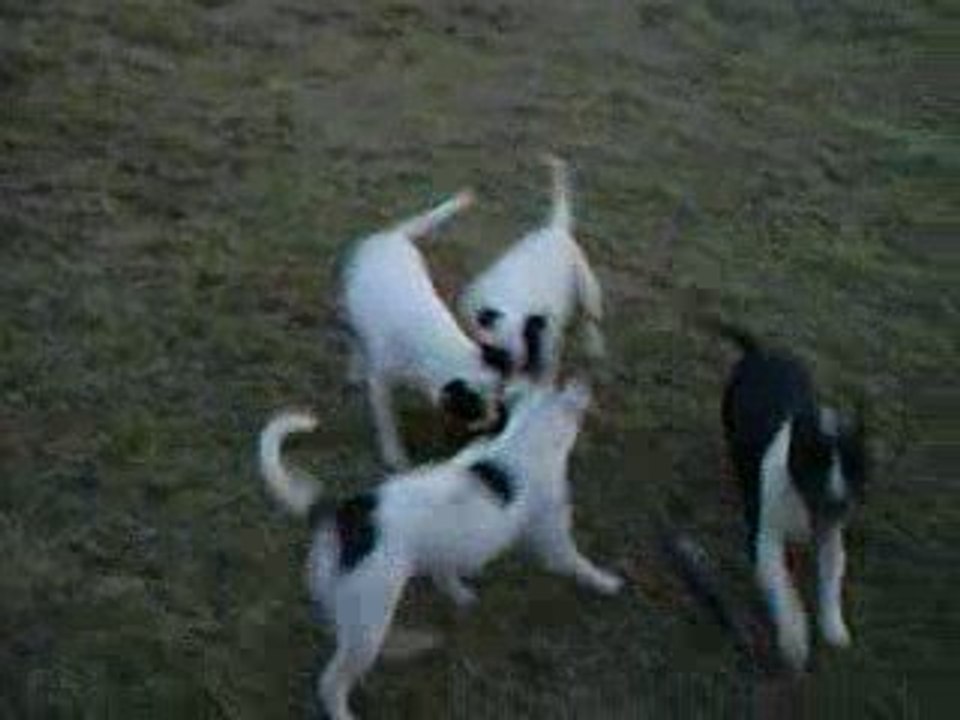 Dynamite en vacances dans sa famille (2)