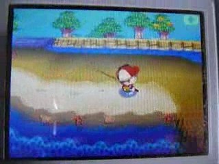 Vidéo teste animal crossing ( ds ) 3 partie