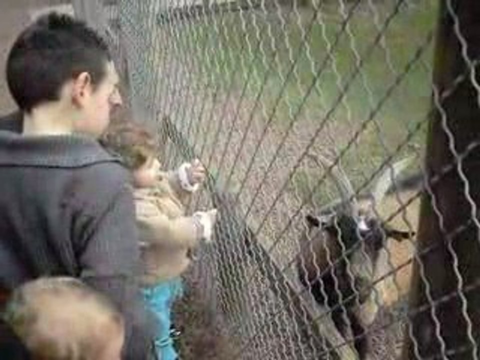 Image point de croix 069